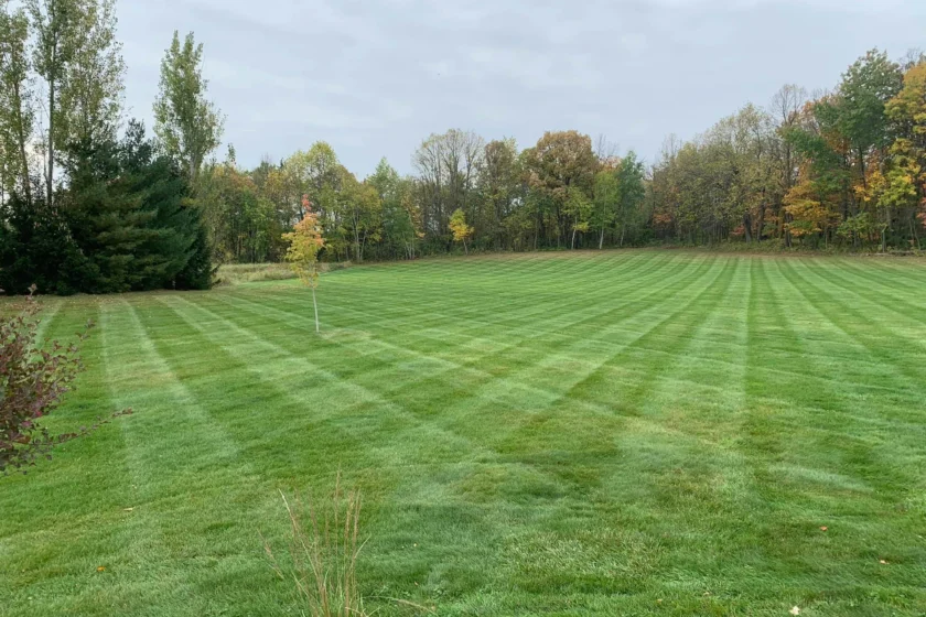 Pine City, MN Lawn Maintenance Company