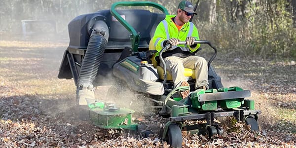 SPRING & FALL CLEAN-UPS