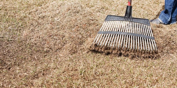 DETHATCHING