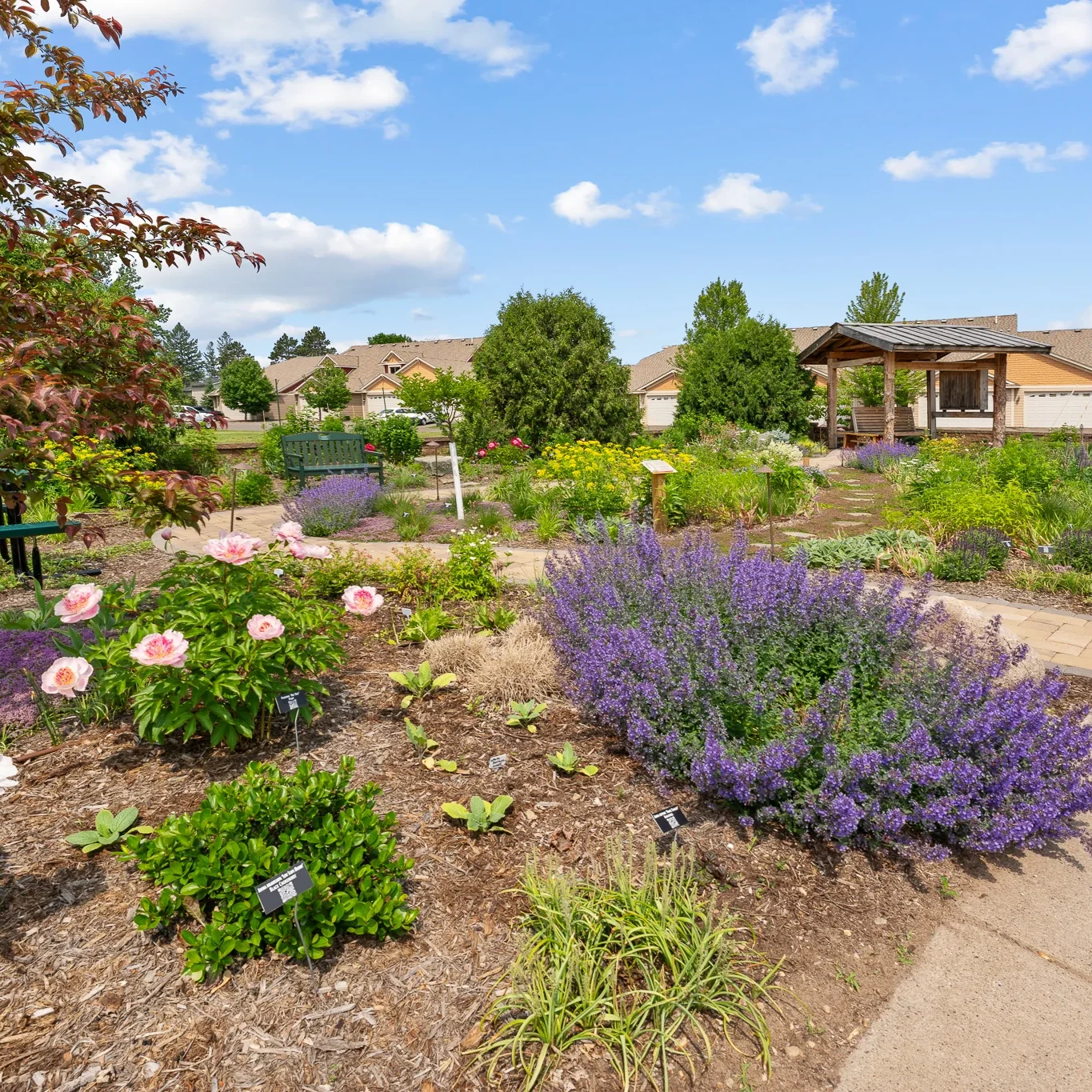 JeffsOutdoorServices 6 10 25 44 Landscaping Services Pine City, MN