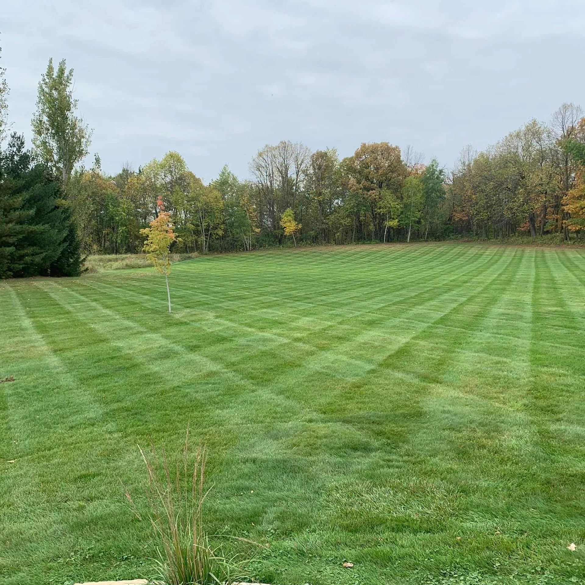 Lawn Maintence 12 Pine City, MN Lawn Maintenance Company