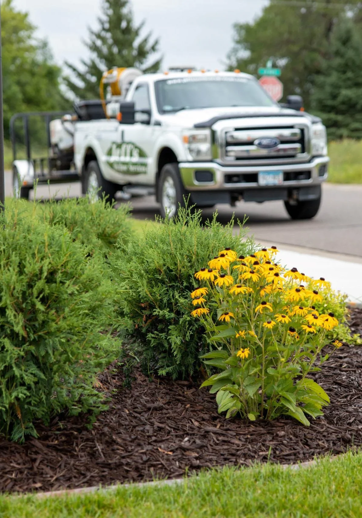 Cambridge, MN Landscaping Services