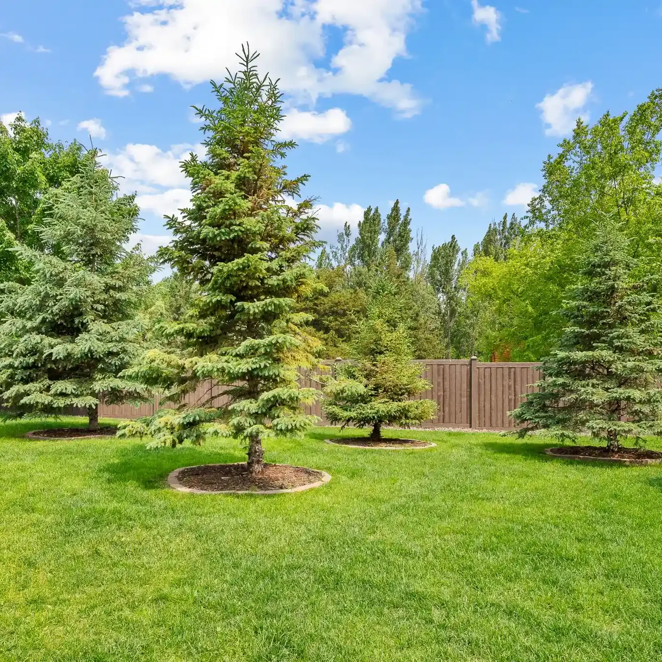 North Branch Mn Lawn Care 11zon